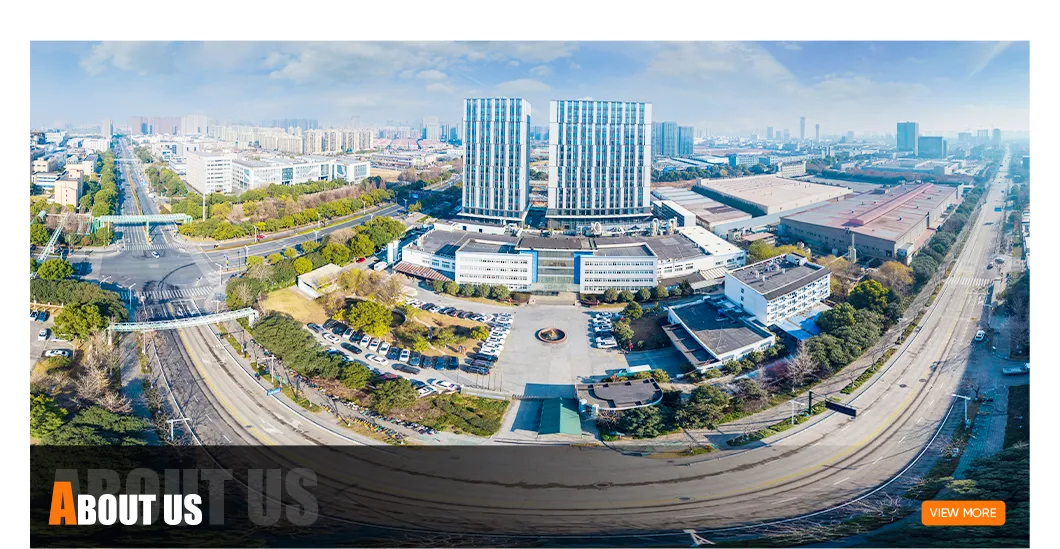 Company Overview