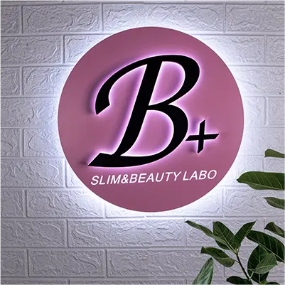 Metal Wall Logo Sign - Brushed Metal Corporate Wall Logo