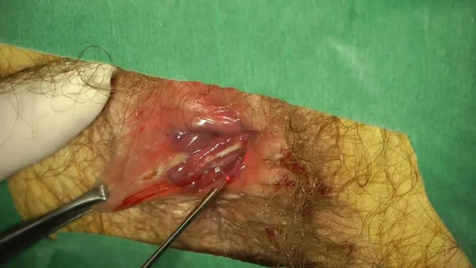 Clinical Advantage 1