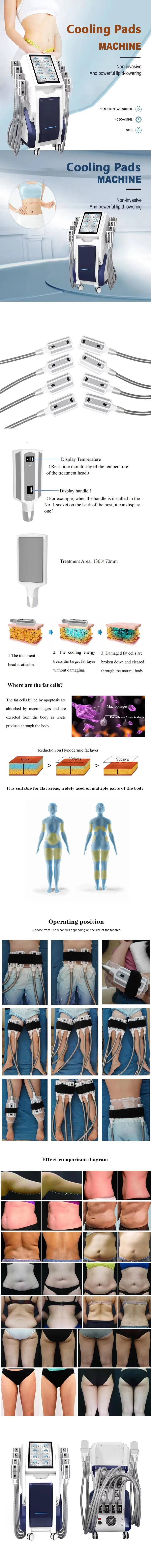 Cryo Lipolysis Machine Detail