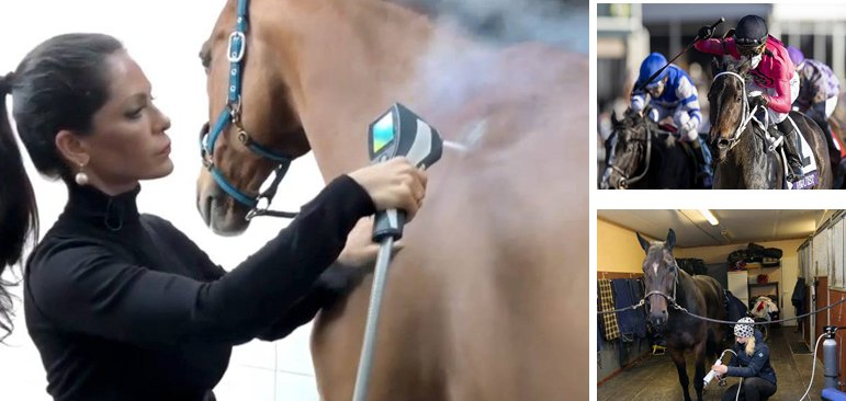 for Human for Horse Orthopedic Localized Cryotherapy Machine Pain &amp; Inflammation for Faster Recovery