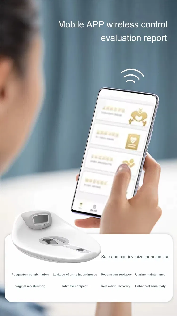 Female Urinary Incontinence Rejuvenecimiento Vaginal Electric Muscle Stimulator for Pelvic Floor EMS Seat