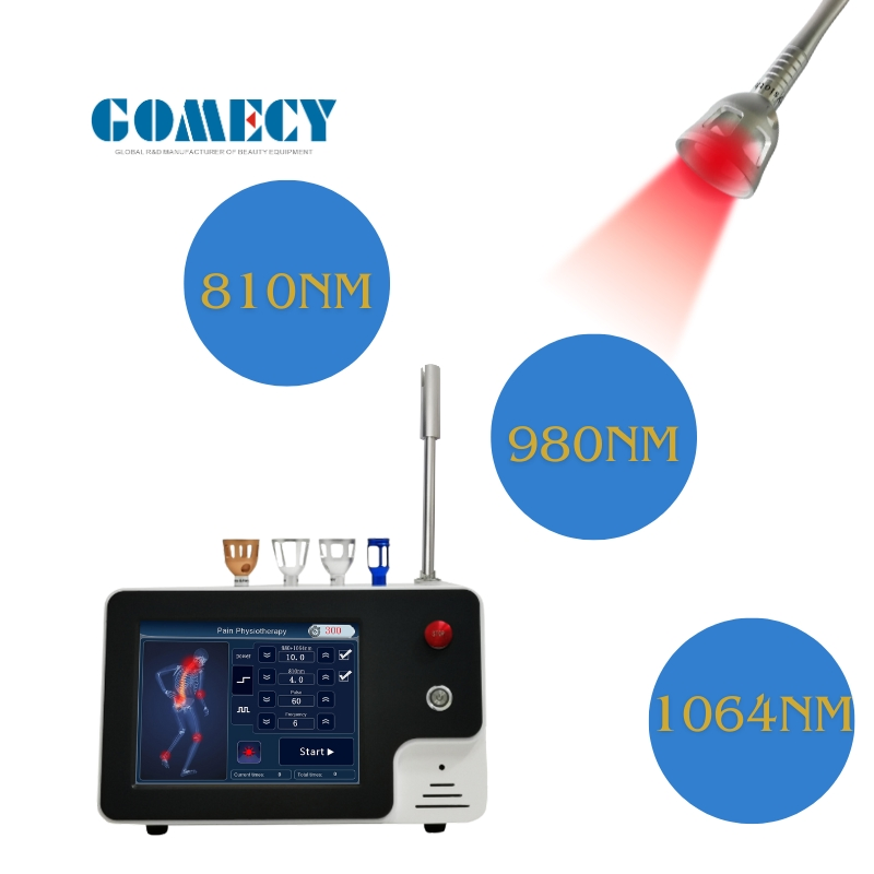 Portable Laser Physiotherapy 2024 New Technology for Physio 980nm Diode Laser Physiotherapy Laser Machine