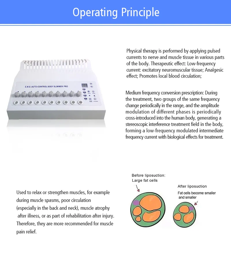 EMS Muscle Stimulator 1