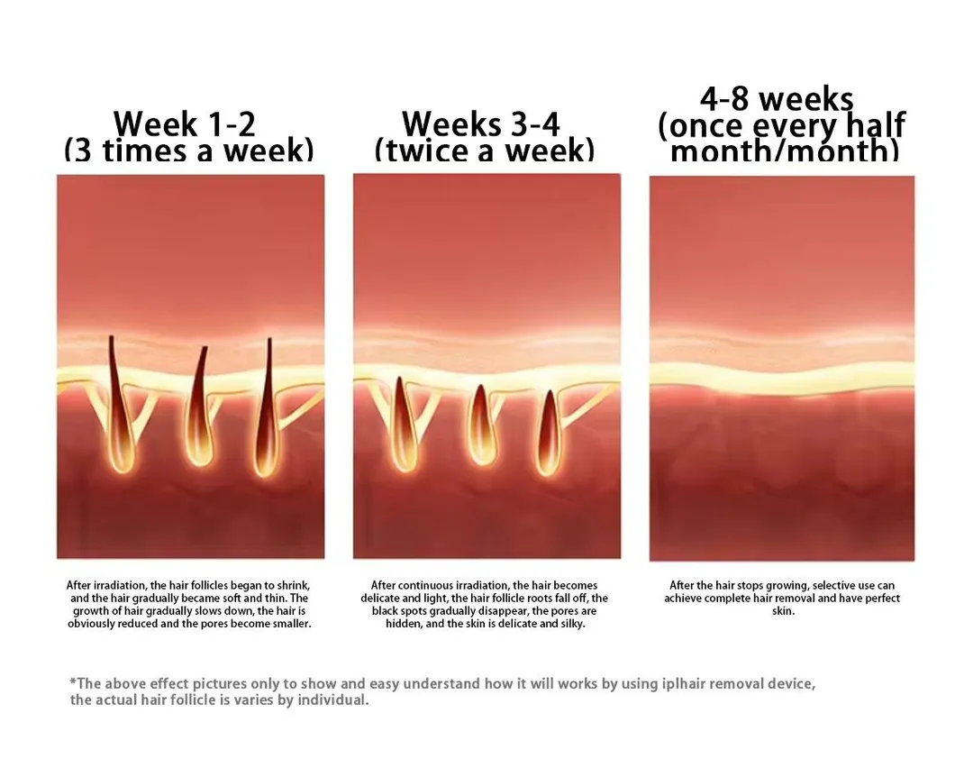 Safety Certifications