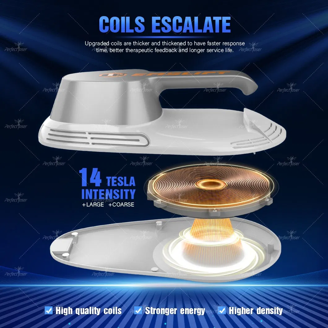 Cost-Effective EMS+RF Build Muscle Slim EMS Professional Stimulator Beauty