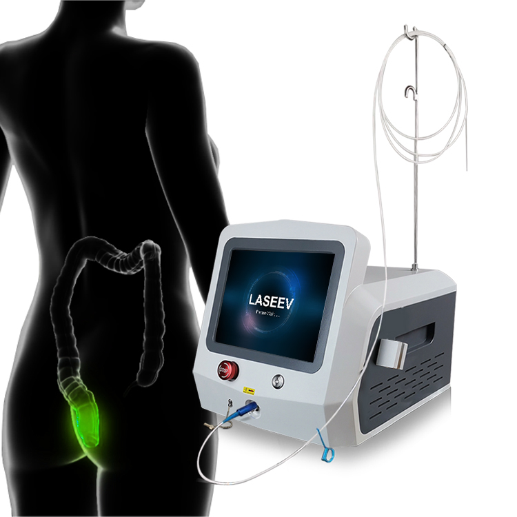 30W 17W Latest Technology Multi-Functions Diode Laser 1470nm 980nm Anal Fistula Surgery Laser Treatment / 1470nm Hemorrhoids Laser