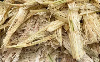 Sugar Mill Sludge