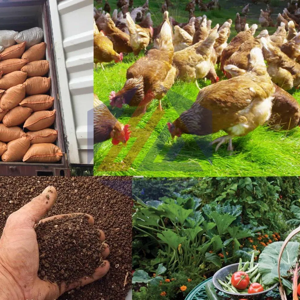 Innovative Organic Fertilizer System for Green Farming Practices