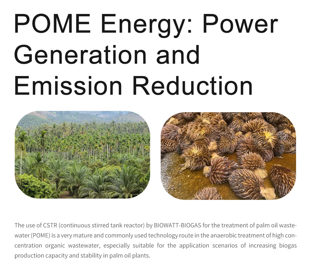 Biogas Generation System 2