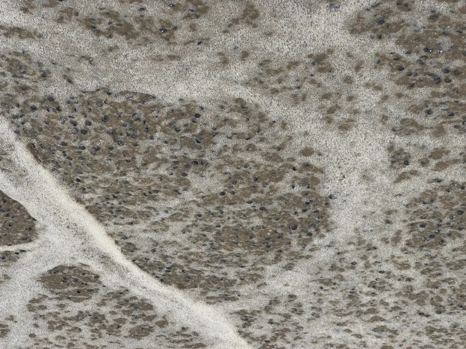 Innovation Detail 2
