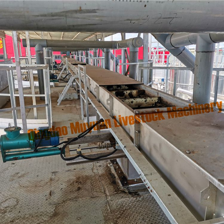 Animal Waste Manure Fermentation Equipment for Poultry Farm