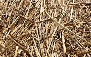Stubble and Straw