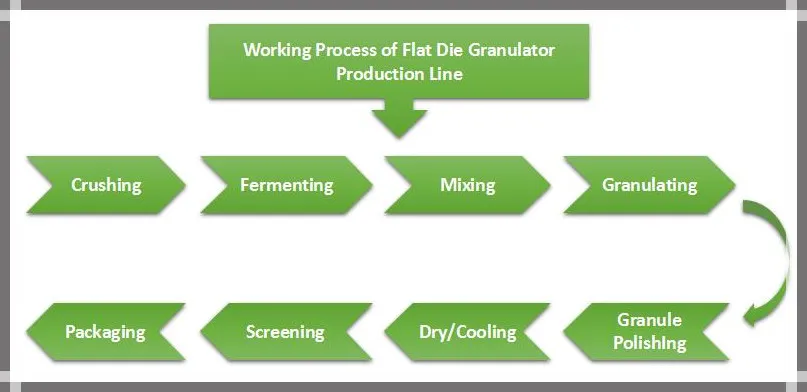 Workflow Chart
