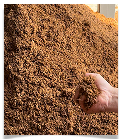 Distiller's grains