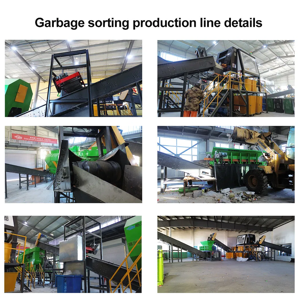 Automated Sorting Machine