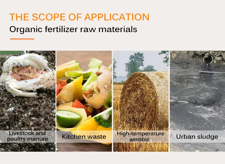 Fermentation Process