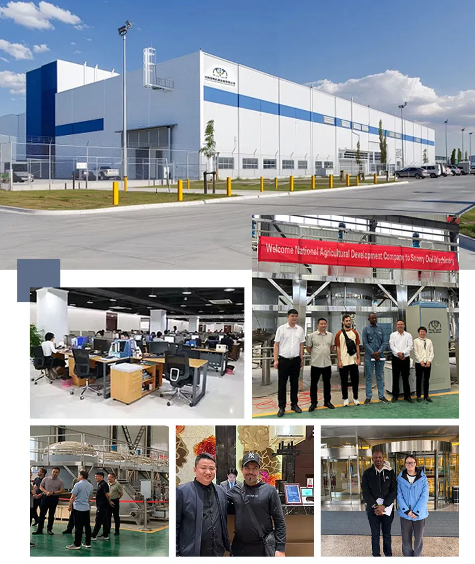 Company Profile Overview