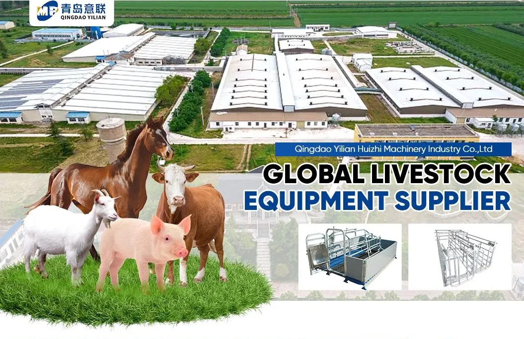 Green Pig Farming Equipment