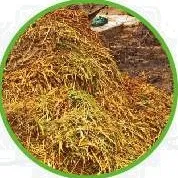 Composting Process