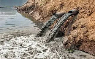 Municipal Sludge