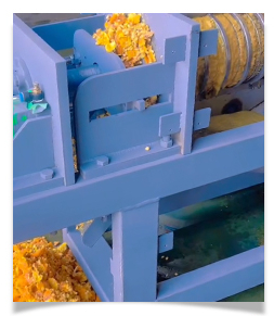 Citrus fruits dewatering