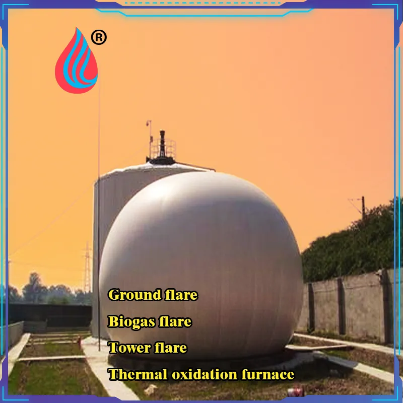 Biogas Purification System