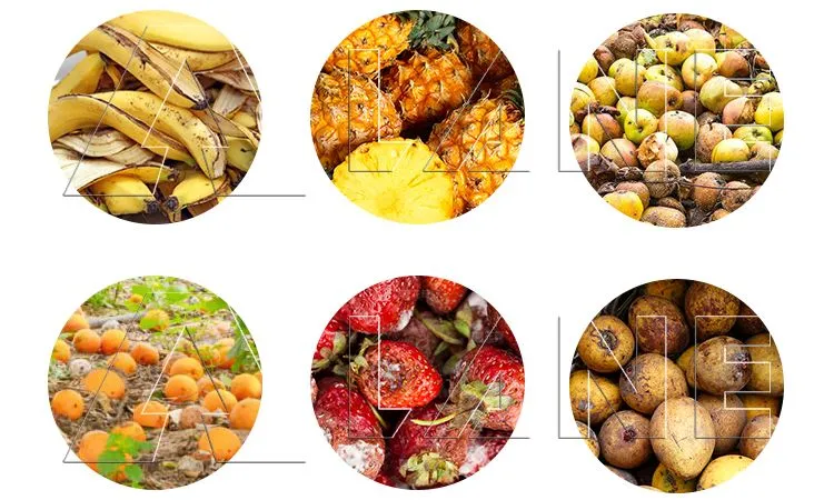 Fruit Waste Resources