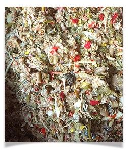 Kitchen waste