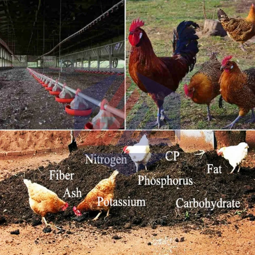 Innovative Organic Fertilizer System for Green Farming Practices