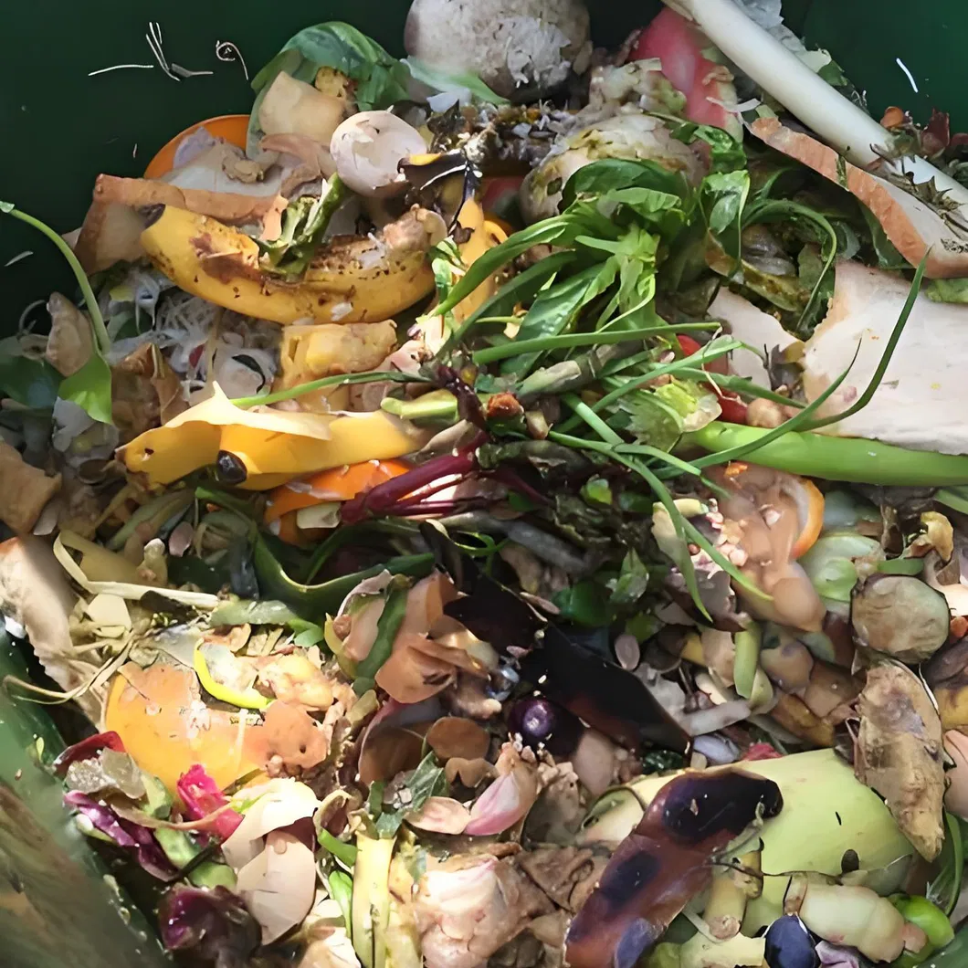 Domestic Waste