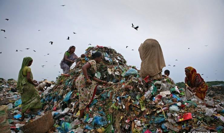 Durable Waste Sorting System for Reliable City Waste Management Needs