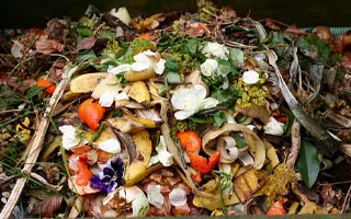 Organic Matter from Household Waste