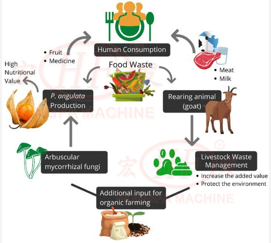 Soil Improvement