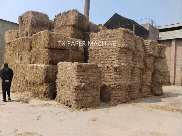 Toilet Paper Equipment