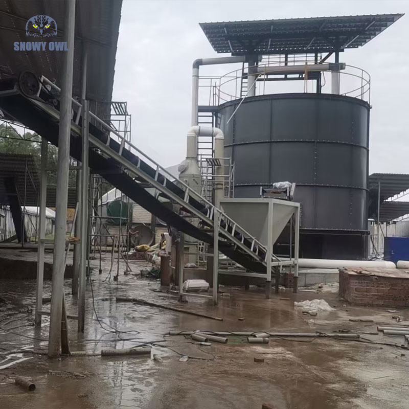 Organic Fertilizer Processing Africa Europe Popular Water Soluble Fertilizer Production Line Customized Production Capacity