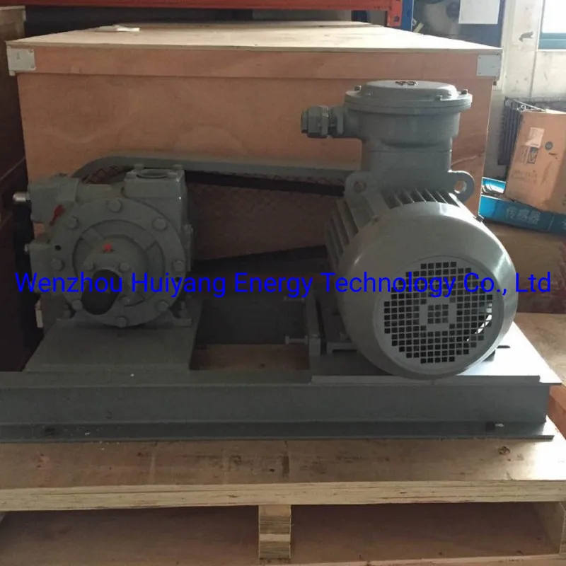 LPG Pump Photo 2