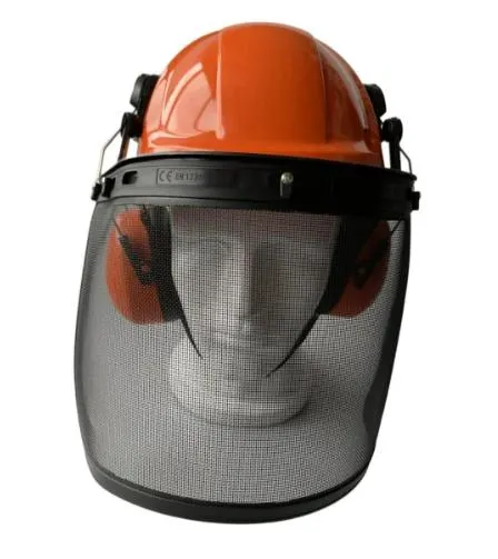 Safety Helmet Detail