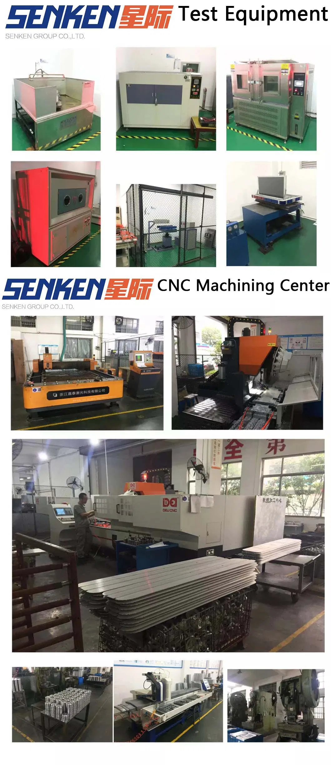 Detailed Infographic 6