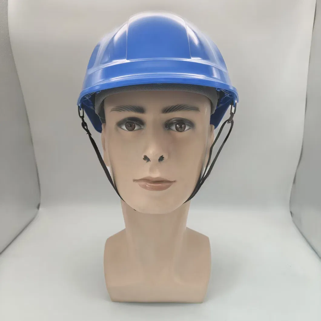 Safety Helmet View 2