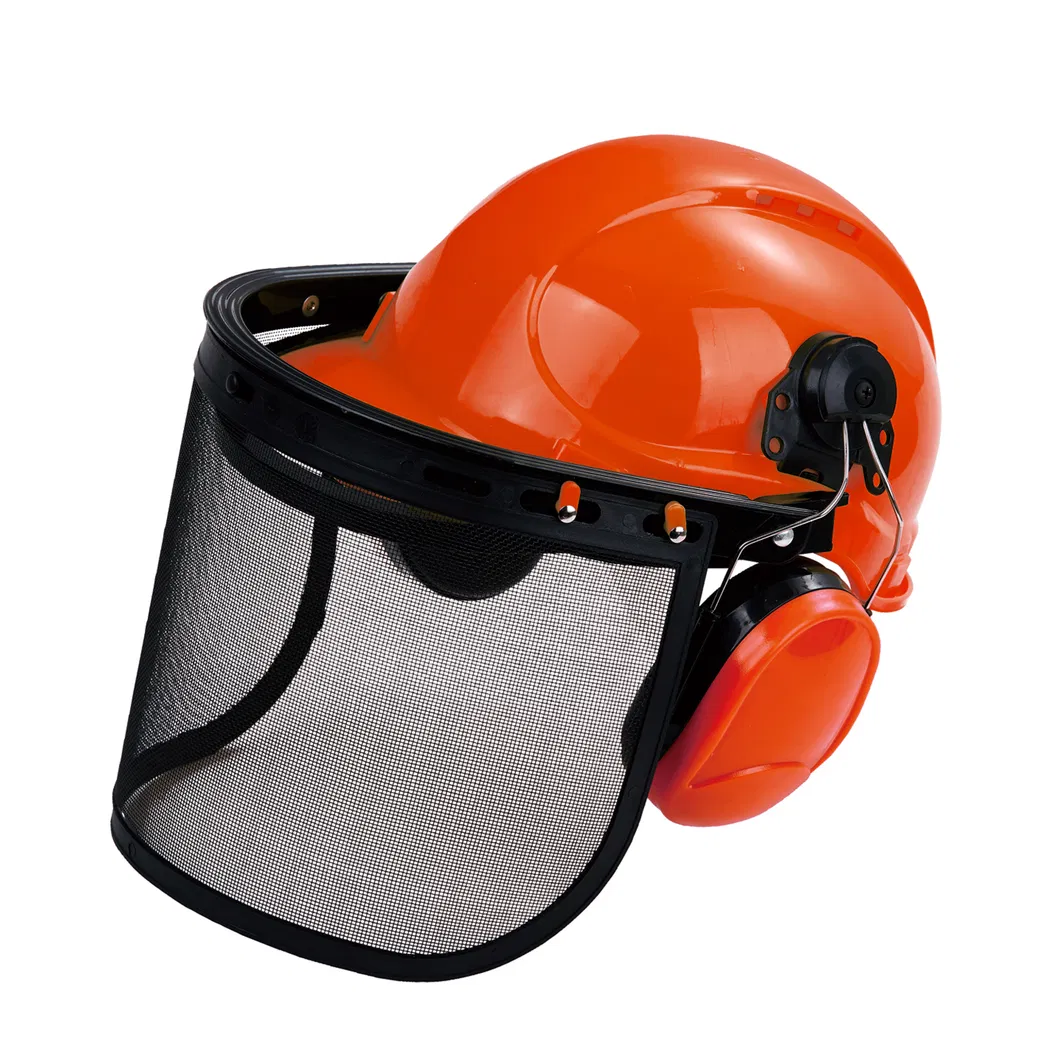 Safety Helmet Product View