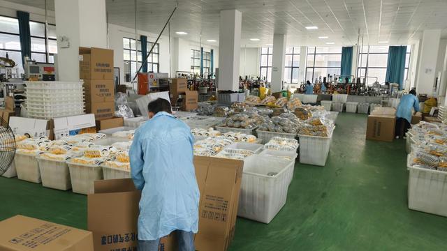 Agonex Safety quality control and product inspection process