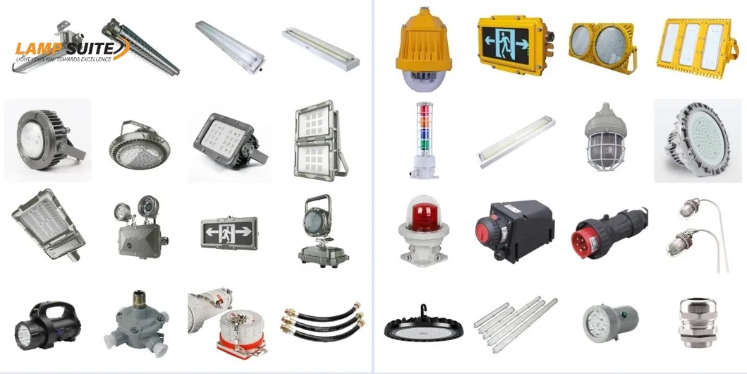 Portable Explosion Proof Work Light