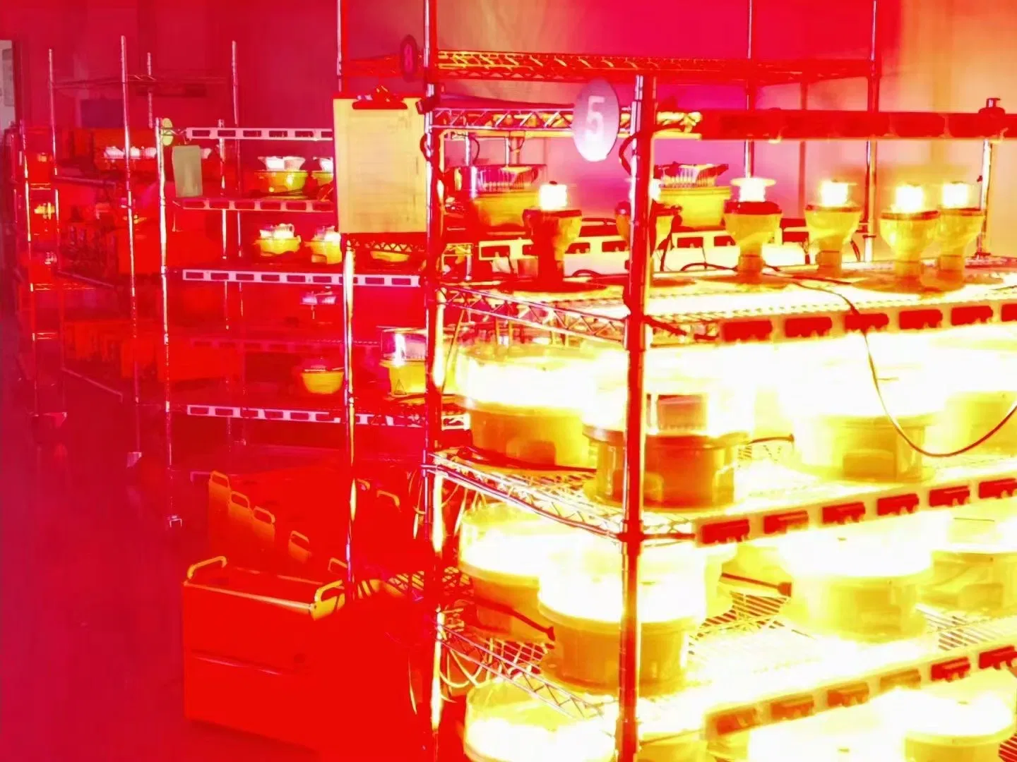 Factory Price LED Solar Powered Medium-Intensity Type B Aviation Obstruction Light for High Chimney Wind Turbine Telecommunication Tower