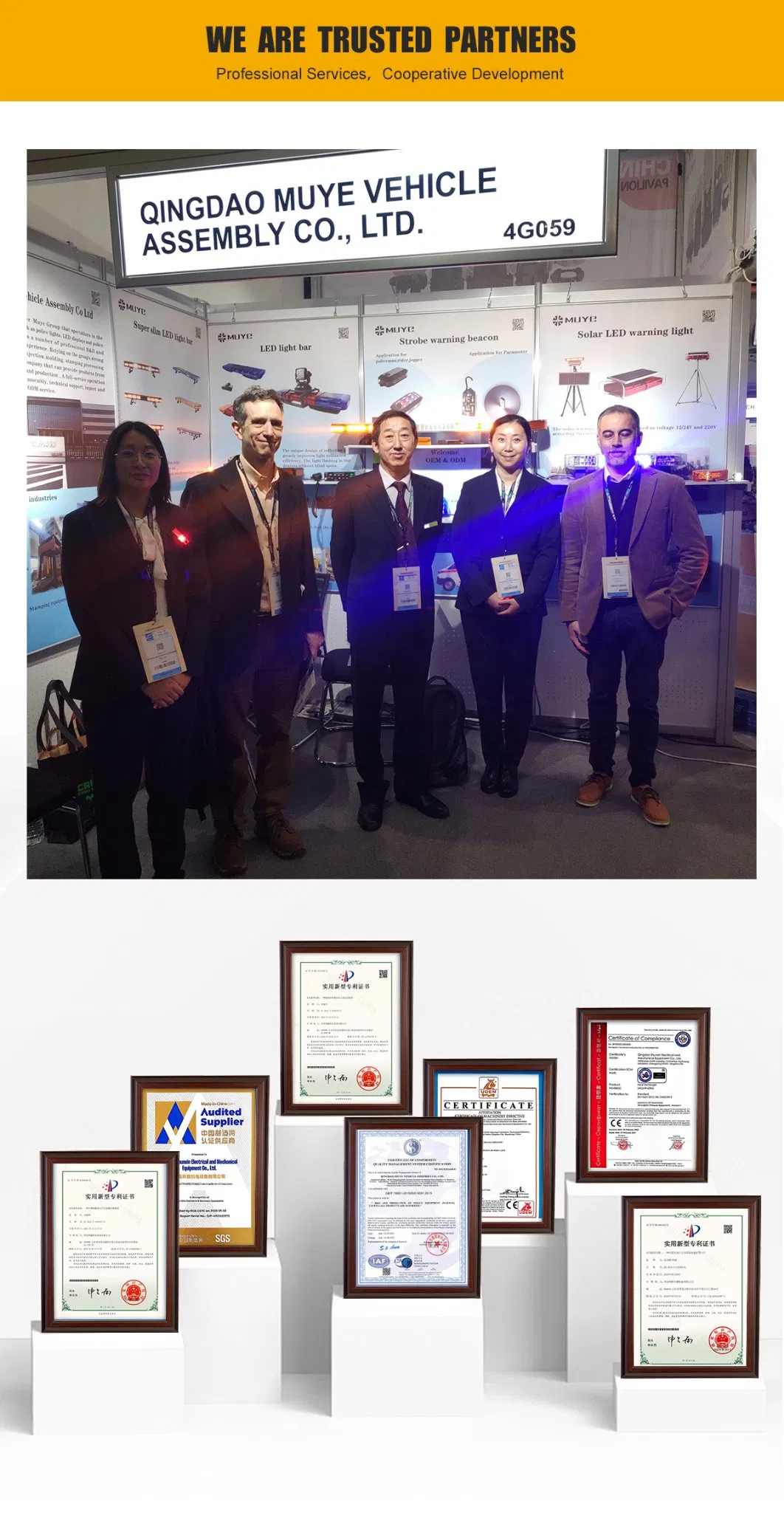 Solar Panel and Mast Details