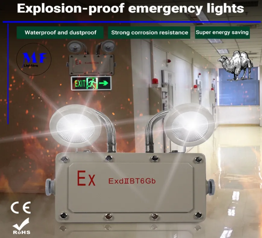 Emergency Light Main View