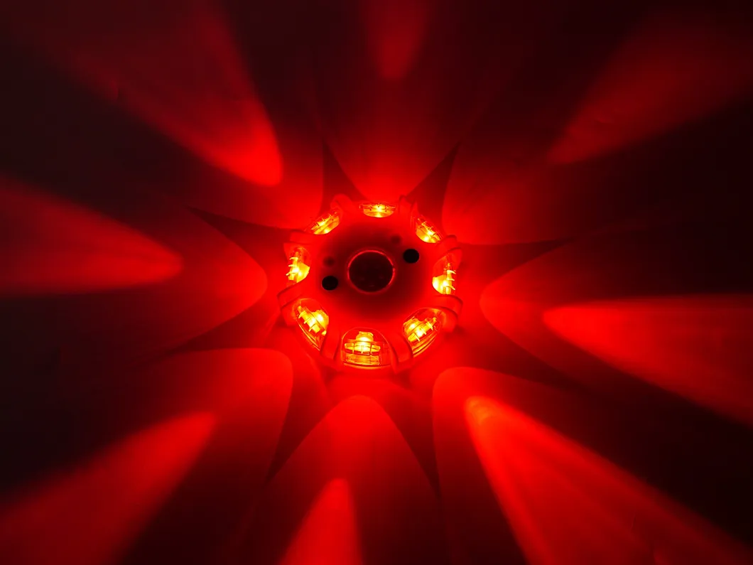 Emergency Light Detail 3