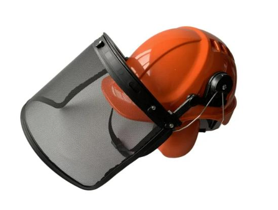 CE and ANSI and Australia Standards Safety Helmet with Earmuffs and Face Shield in Forestry