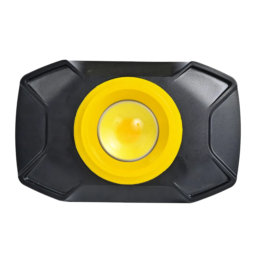 LED Floodlight View 1