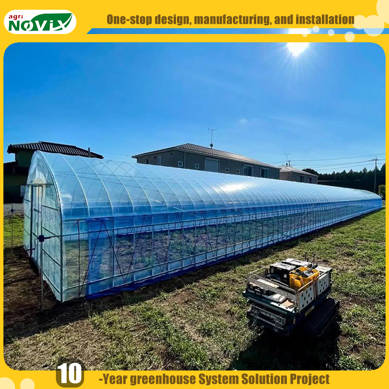 Single Span Film Greenhouse for Vegetables Strawberries with Watering Fertigation Irrigation System